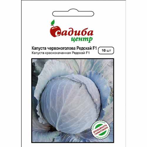 Капуста краснокочанная Редская F1 Садиба центр артикул фото 1 Капуста краснокочанная Редская F1 Садиба центр рисунок 1 артикул 89329