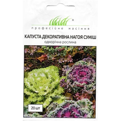 Капуста Нагоя, смесь окрасок Профессиональные семена рисунок 1 артикул 90301