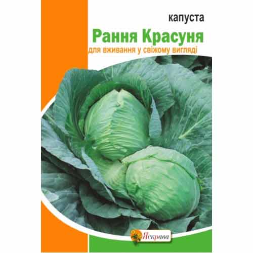 Капуста Ранняя Красавица Яскрава рисунок 1 артикул 99871
