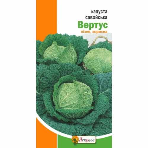 Капуста савойская Вертус Яскрава рисунок 1 артикул 99872