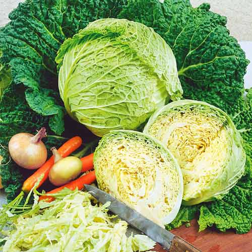 Капуста савойська Вертю Seedera зображення 1 артикул 66467