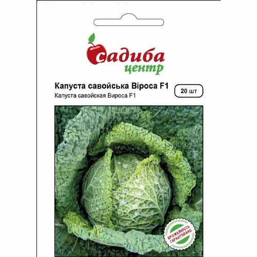 Капуста савойская Вироса F1 Садыба центр артикул фото 1 Капуста савойская Вироса F1 Садыба центр рисунок 1 артикул 89314