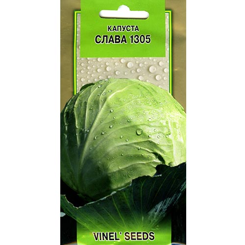 Капуста Слава 1305 Vinel seeds зображення 1 артикул 95577