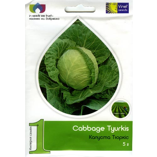 Капуста белокочанная Тюркиз Vinel seeds рисунок 1 артикул 95580