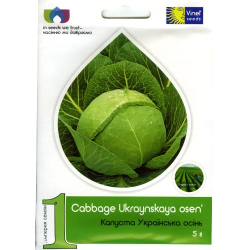 Капуста белокочанная Украинская осень Vinel seeds рисунок 1 артикул 95581
