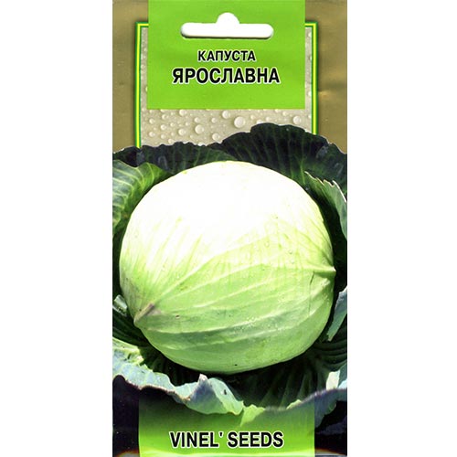 Капуста Ярославна Vinel seeds зображення 1 артикул 95584
