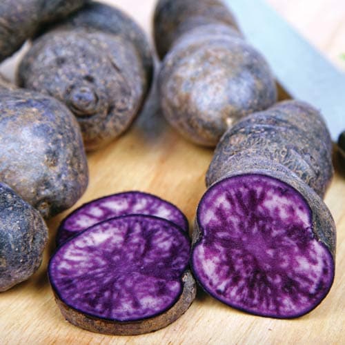 Картопля Аметист зображення 1 артикул 7862