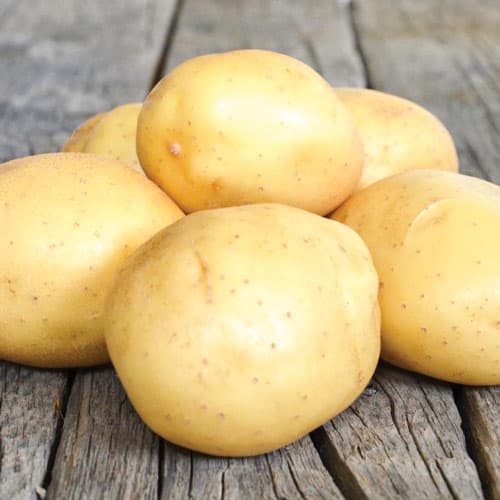 Картофель Аризона рисунок 1 артикул 7872