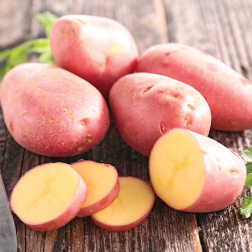 Картофель Ароза рисунок 1 артикул 7871