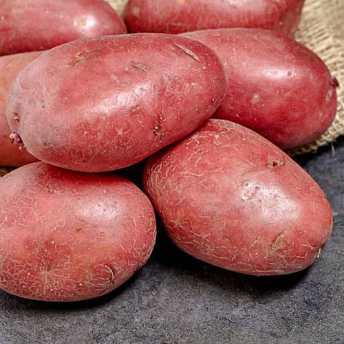 Картопля Еволюшн артикул фото 1 Картопля Еволюшн зображення 1 артикул 7873