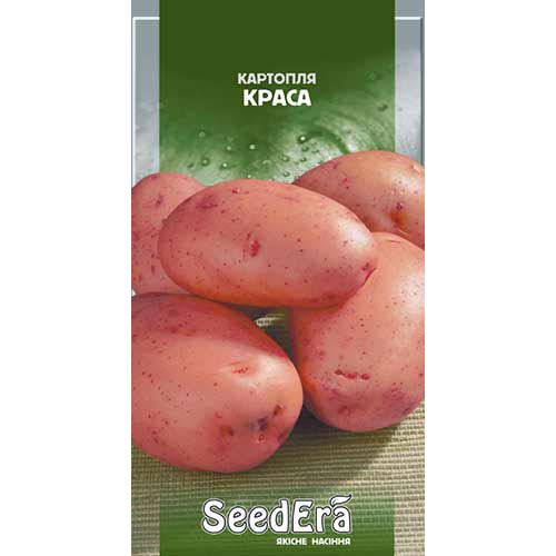 Картопля Краса Seedera артикул фото 1 Картопля Краса Seedera зображення 1 артикул 77218