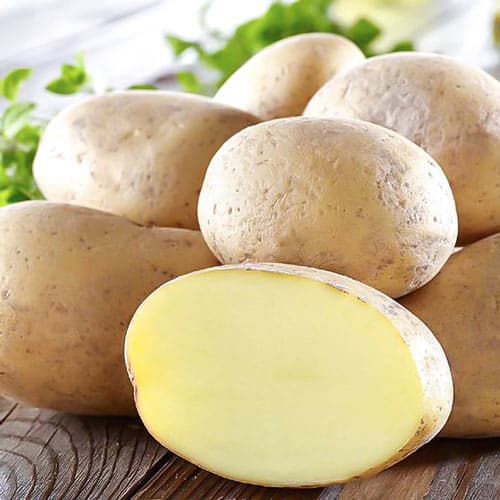 Картофель Орла рисунок 1 артикул 7890