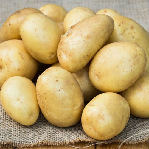 Картопля Рів'єра зображення 1 артикул 7826
