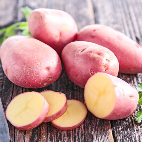 Картофель Шери рисунок 1 артикул 1066