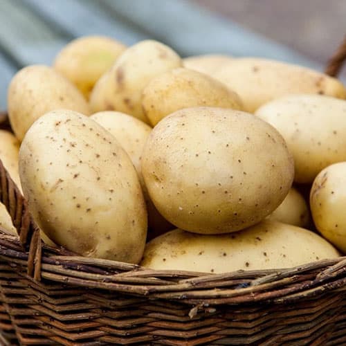 Картофель Армада рисунок 1 артикул 4527