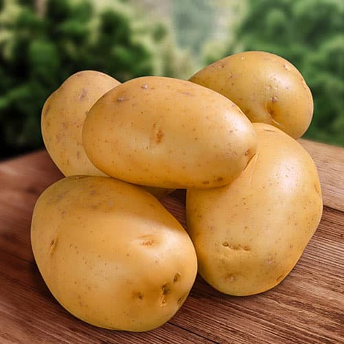 Картопля Фрітелла зображення 1 артикул 4530