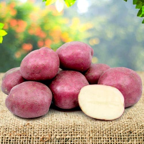 Картопля Кармен зображення 1 артикул 9621