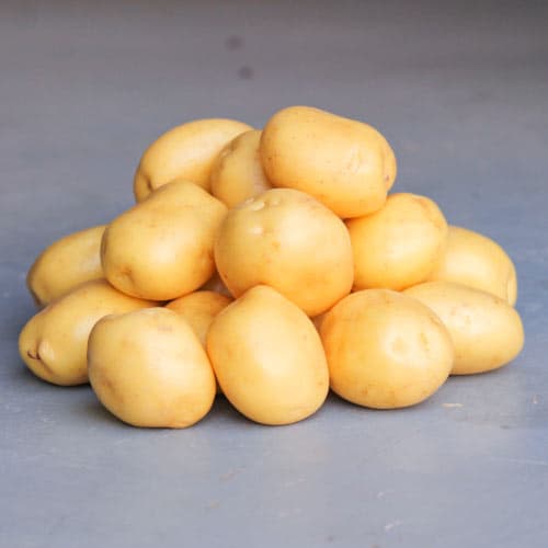 Картопля Констанс зображення 1 артикул 4544