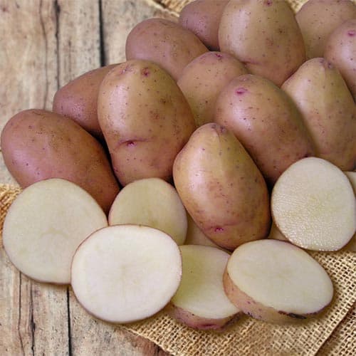 Картопля Корнет зображення 1 артикул 9622