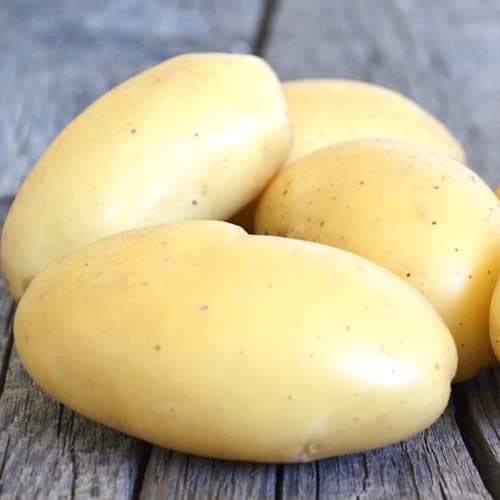 Картопля Метеор зображення 1 артикул 7865