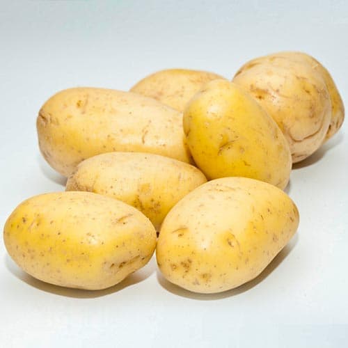 Картофель Монализа рисунок 1 артикул 9625