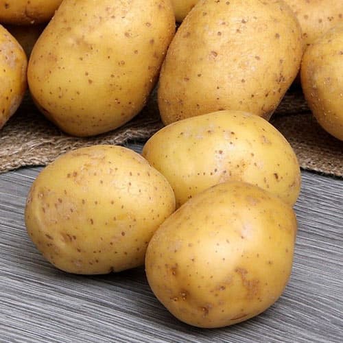 Картофель Парадизо рисунок 1 артикул 4546