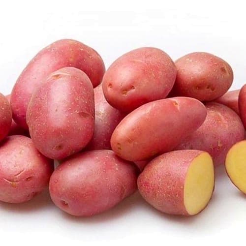 Картопля Родріго зображення 1 артикул 9628