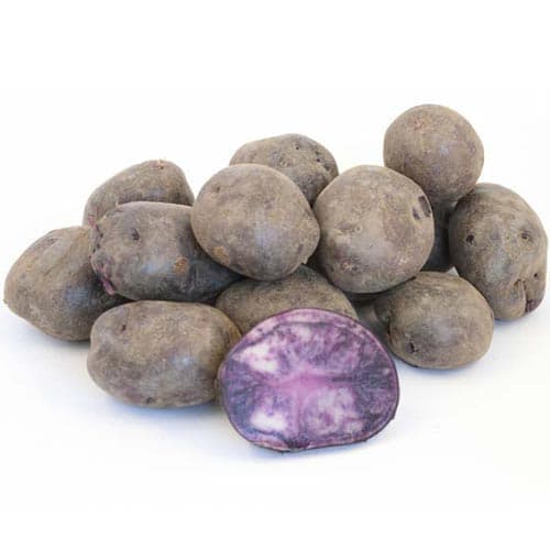 Картофель Солоха рисунок 1 артикул 9631