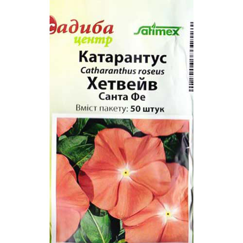 Катарантус Хетвейв Санта Фе Садыба центр артикул фото 1 Катарантус Хетвейв Санта Фе Садыба центр рисунок 1 артикул 89334