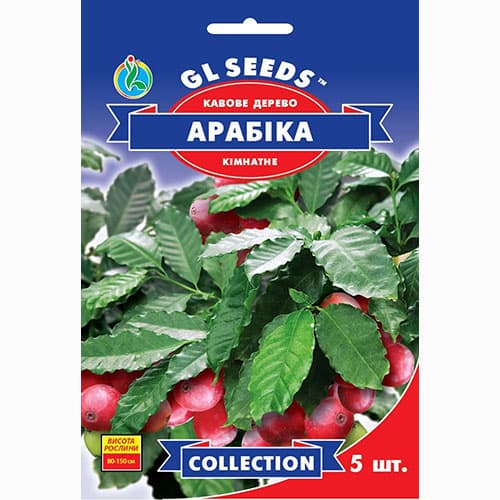 Кавове дерево Арабіка GL Seeds зображення 1 артикул 99450