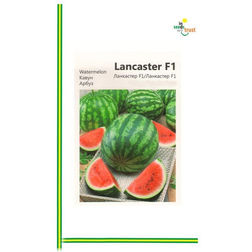 Арбуз Ланкастер F1 Империя семян рисунок 1 артикул 95306