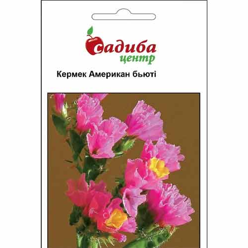 Кермек Американ Бьюти Садыба центр рисунок 1 артикул 89343