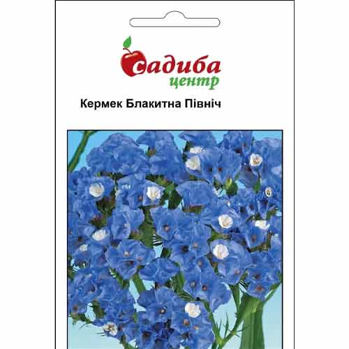 Кермек Голубой Север Садыба центр рисунок 1 артикул 89344