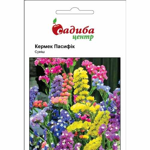 Кермек Пацифик, смесь окрасок Садиба центр рисунок 1 артикул 89346