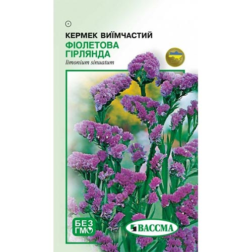 Кермек Фиолетовая гирлянда Seedera рисунок 1 артикул 72261