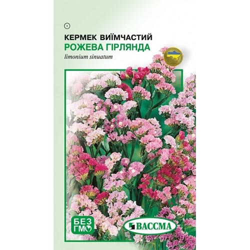 Кермек Розовая гирлянда Seedera рисунок 1 артикул 72726