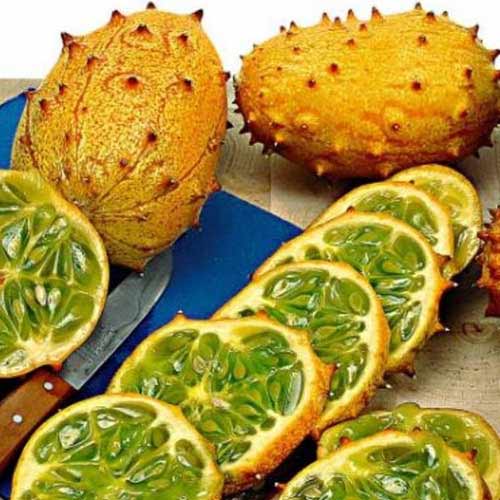 Ківано Seedera зображення 1 артикул 65673