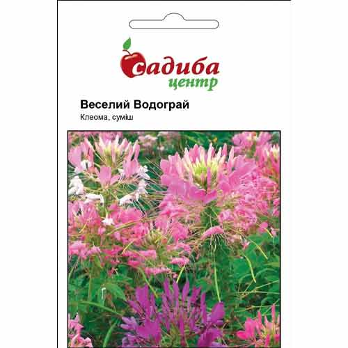 Клеома Веселый фонтан, смесь окрасок Садыба центр артикул фото 1 Клеома Веселый фонтан, смесь окрасок Садыба центр рисунок 1 артикул 89355
