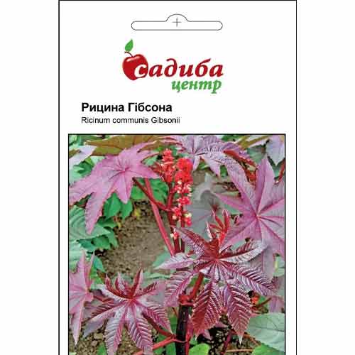 Рицина Гібсона Садиба центр зображення 1 артикул 89657