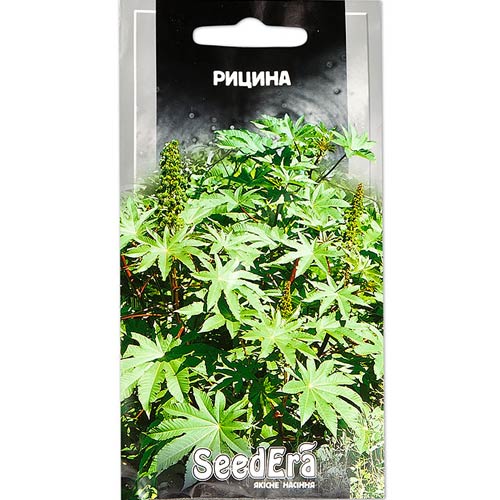 Клещевина Seedera рисунок 1 артикул 89984