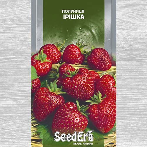 Клубника Иришка рисунок 1 артикул 77282