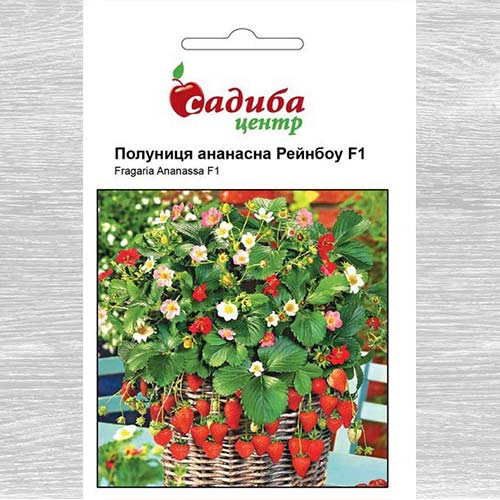 Полуниця Рейнбоу зображення 1 артикул 77284