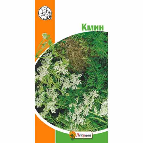 Кмин Яскрава зображення 1 артикул 99896