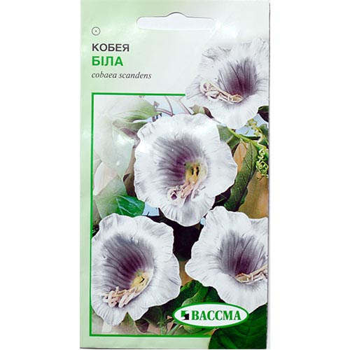 Кобея белая Seedera рисунок 1 артикул 72264