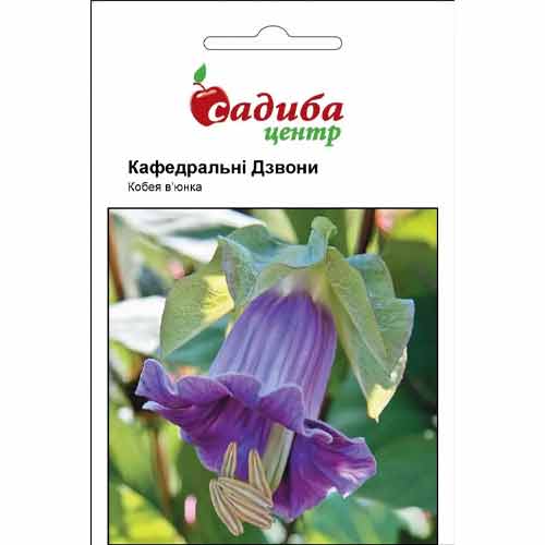 Кобея Кафедральные Колокола Садыба центр рисунок 1 артикул 89357