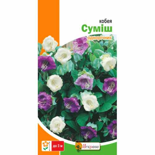 Кобея, смесь окрасок Яскрава рисунок 1 артикул 72267