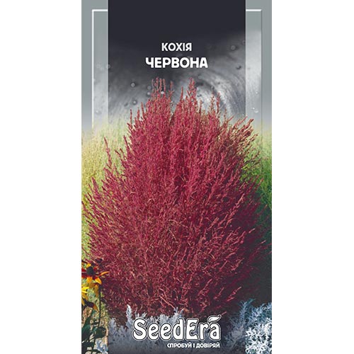 Кохія червона Seedera зображення 1 артикул 94965