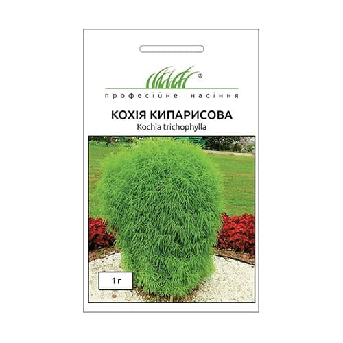 Кохія кипарисова Професійне насіння артикул фото 1 Кохія кипарисова Професійне насіння зображення 1 артикул 72274