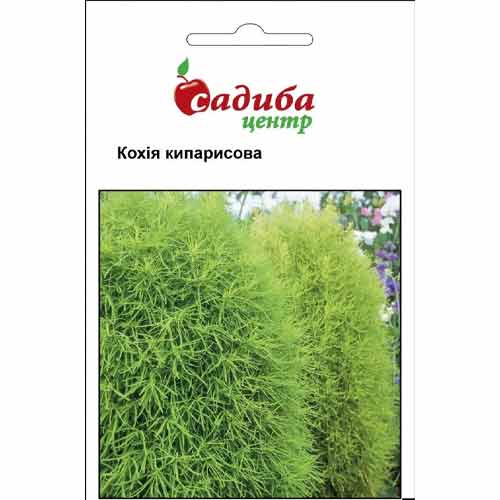 Кохия кипарисовая Садыба центр рисунок 1 артикул 89364
