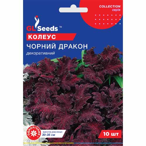 Колеус Черный дракон GL Seeds рисунок 1 артикул 85811